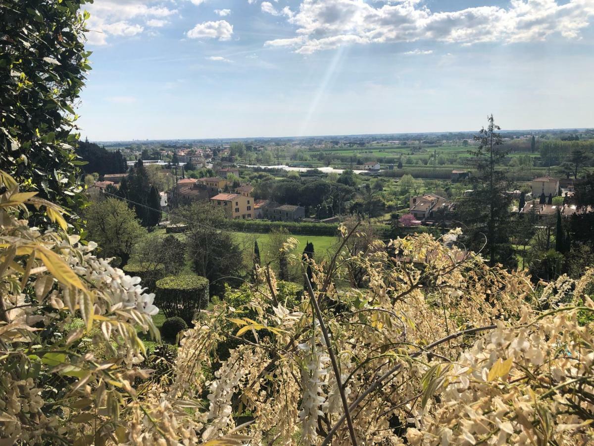 Villa Alta - Residenza D'Epoca Con Piscina San Giuliano Terme Luaran gambar